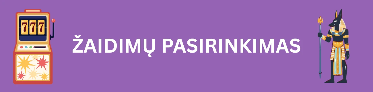 Žaidimų pasirinkimas